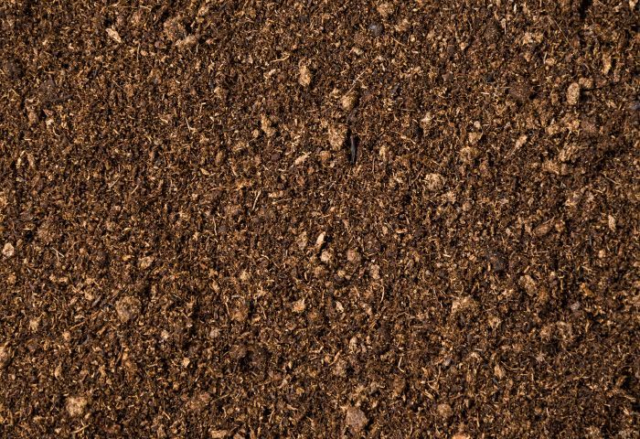 Léčebné používání bahna a rašeliny